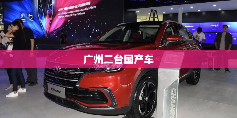 广州二台国产车