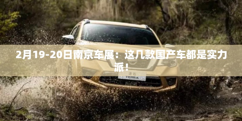 2月19-20日南京车展：这几款国产车都是实力派！