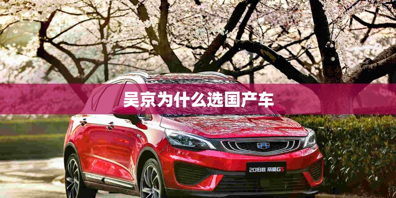 吴京为什么选国产车