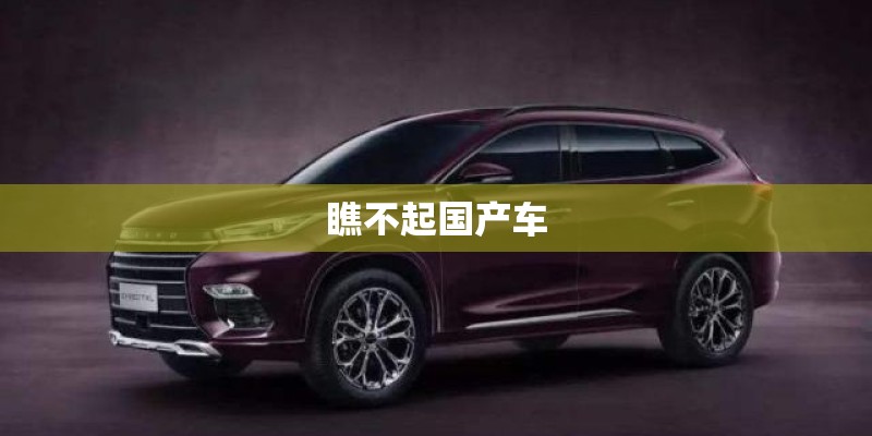 瞧不起国产车