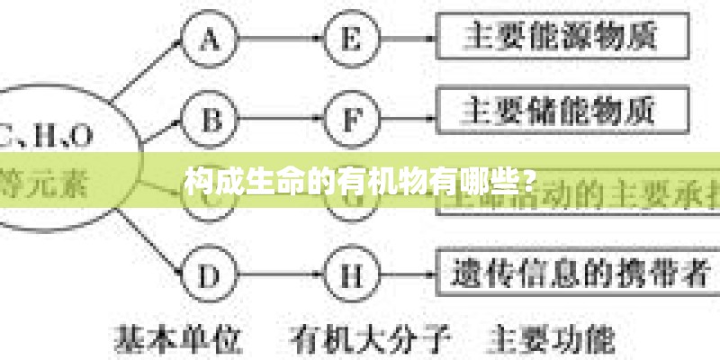 构成生命的有机物有哪些？