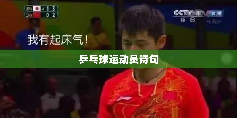 乒乓球运动员诗句