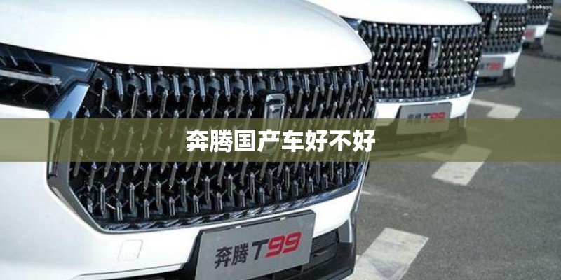 奔腾国产车好不好
