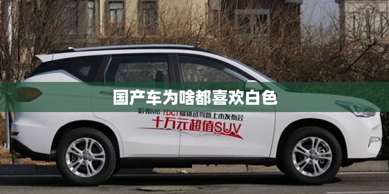 大型植物盆栽怎么种植