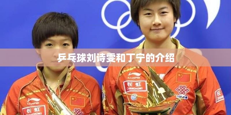 乒乓球刘诗雯和丁宁的介绍