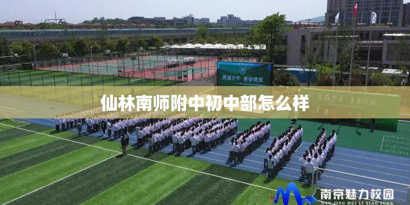 仙林南师附中初中部怎么样 仙林南师附中初中部怎么样