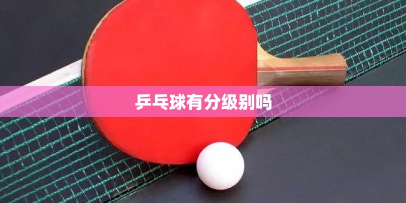乒乓球有分级别吗
