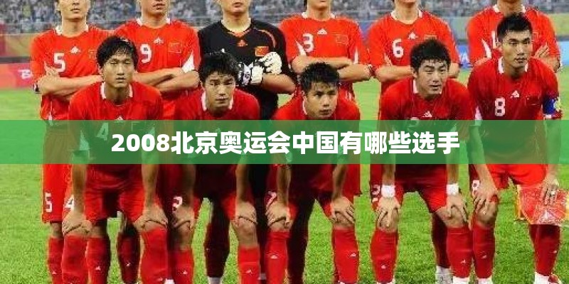 2008北京奥运会中国有哪些选手