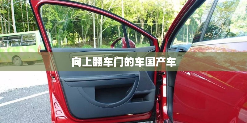 向上翻车门的车国产车 向上翻车门的车国产车