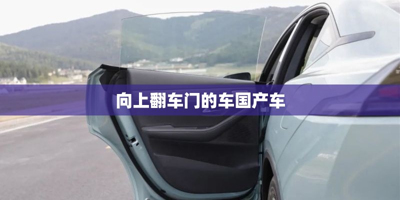 向上翻车门的车国产车 向上翻车门的车国产车