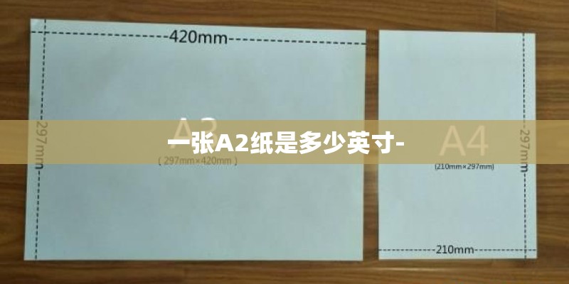 一张A2纸是多少英寸-