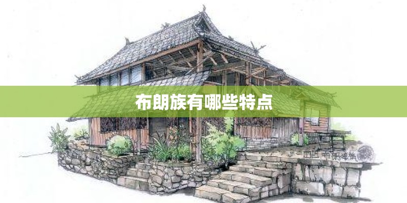 布朗族有哪些特点