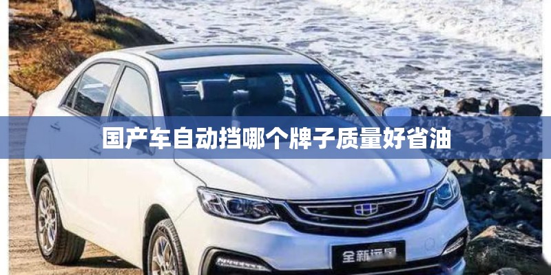 国产车自动挡哪个牌子质量好省油