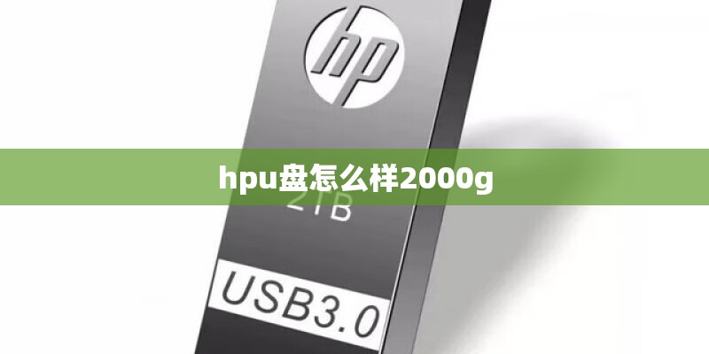 hpu盘怎么样2000g