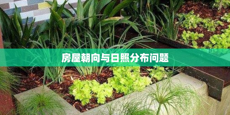 房屋朝向与日照分布问题 房屋朝向与日照分布问题