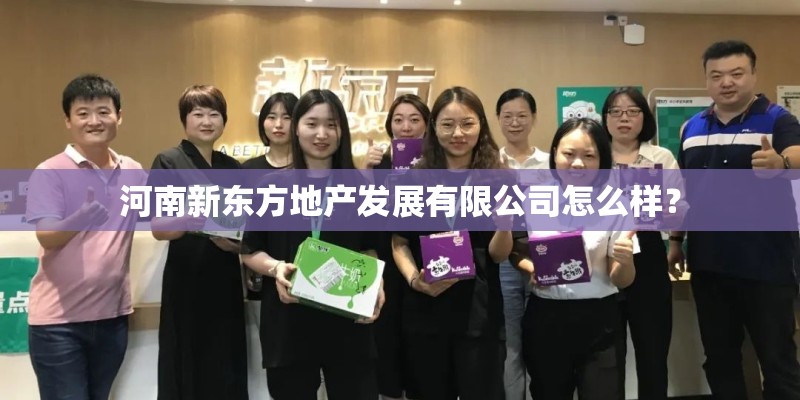 河南新东方地产发展有限公司怎么样？