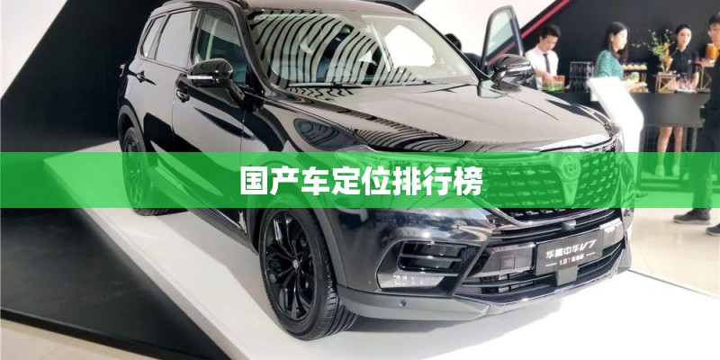 国产车定位排行榜