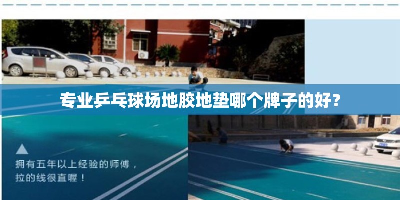 专业乒乓球场地胶地垫哪个牌子的好？