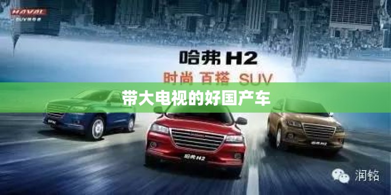 带大电视的好国产车
