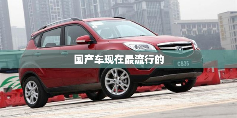 国产车现在最流行的 国产车现在最流行的