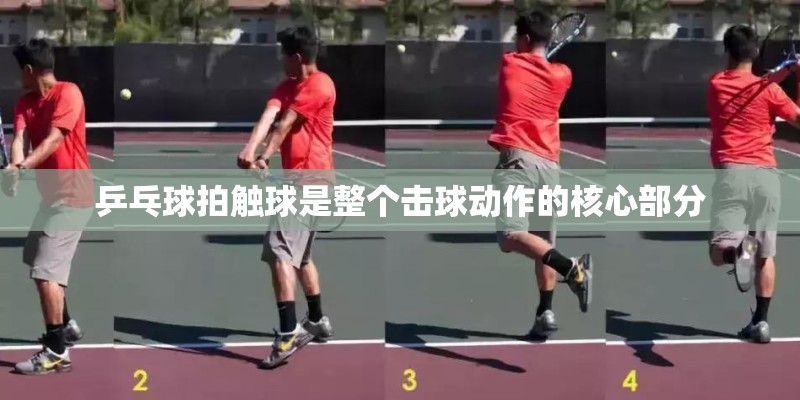 乒乓球拍触球是整个击球动作的核心部分 乒乓球拍触球是整个击球动作的核心部分