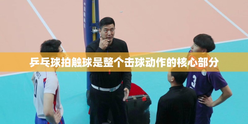 乒乓球拍触球是整个击球动作的核心部分 乒乓球拍触球是整个击球动作的核心部分
