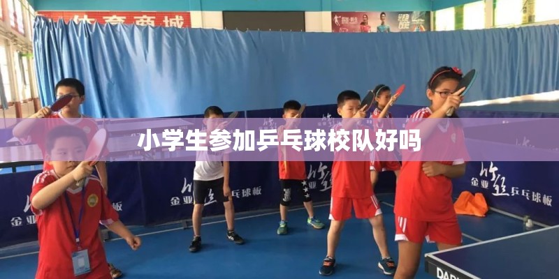 小学生参加乒乓球校队好吗 小学生参加乒乓球校队好吗
