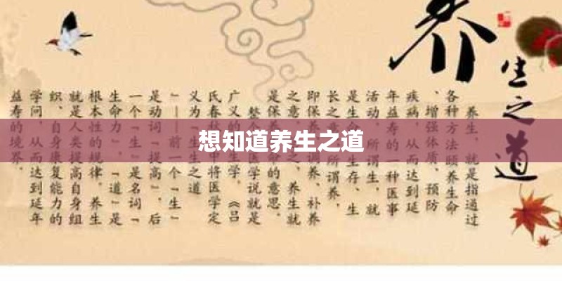 想知道养生之道 想知道养生之道