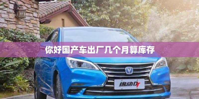 你好国产车出厂几个月算库存