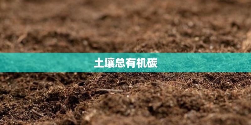 土壤总有机碳