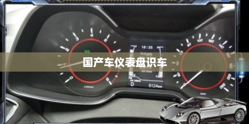 国产车仪表盘识车
