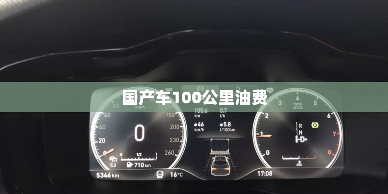国产车100公里油费