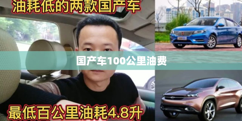 国产车100公里油费