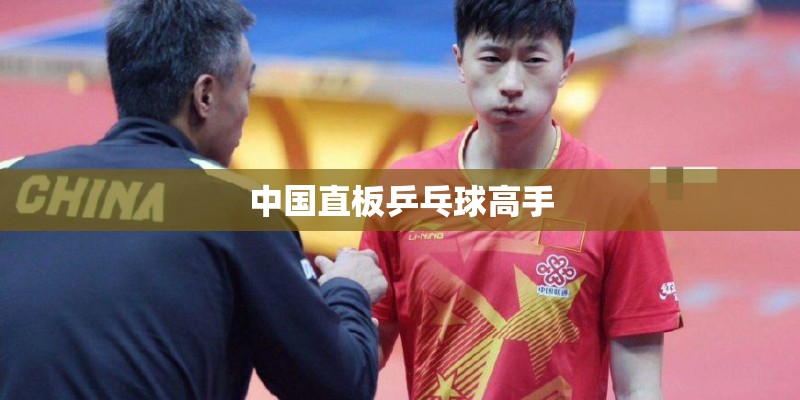 中国直板乒乓球高手