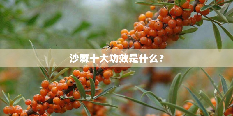 2024学编导的就业前景好吗