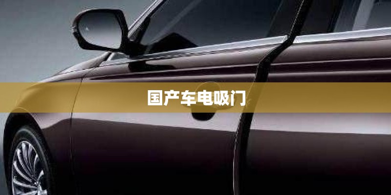 国产车电吸门 国产车电吸门