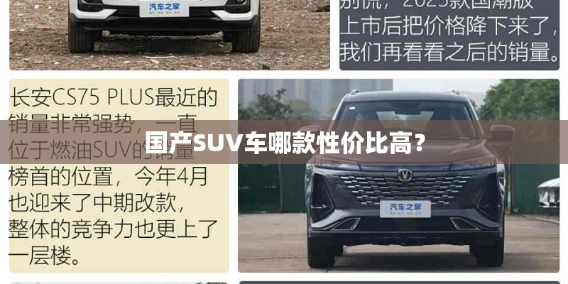 国产SUV车哪款性价比高? 国产SUV车哪款性价比高?