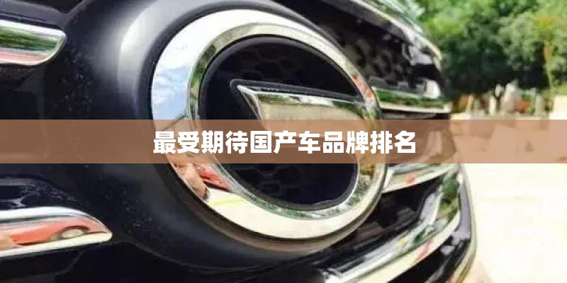 最受期待国产车品牌排名 最受期待国产车品牌排名