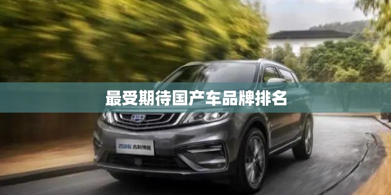 最受期待国产车品牌排名 最受期待国产车品牌排名