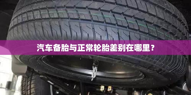 草坪建植的方法有籽播、喷播、植生带、铺植都分别是什么意思啊？