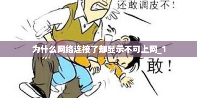 为什么网络连接了却显示不可上网_1 为什么网络连接了却显示不可上网_1