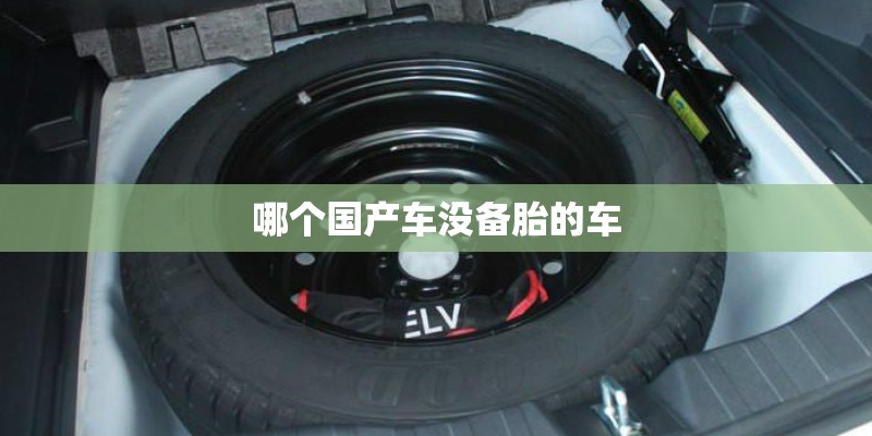 哪个国产车没备胎的车 哪个国产车没备胎的车