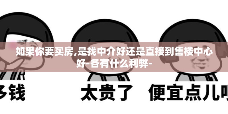如果你要买房,是找中介好还是直接到售楼中心好-各有什么利弊-
