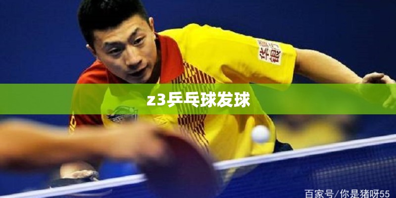 z3乒乓球发球