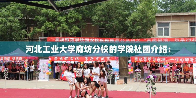 河北工业大学廊坊分校的学院社团介绍: 河北工业大学廊坊分校的学院社团介绍: