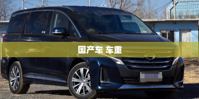国产车 车重
