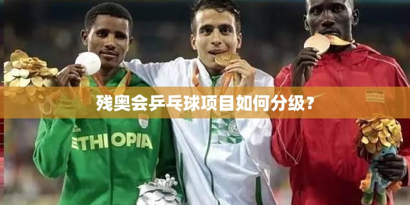 残奥会乒乓球项目如何分级? 残奥会乒乓球项目如何分级?