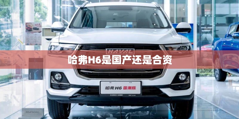 哈弗H6是国产还是合资