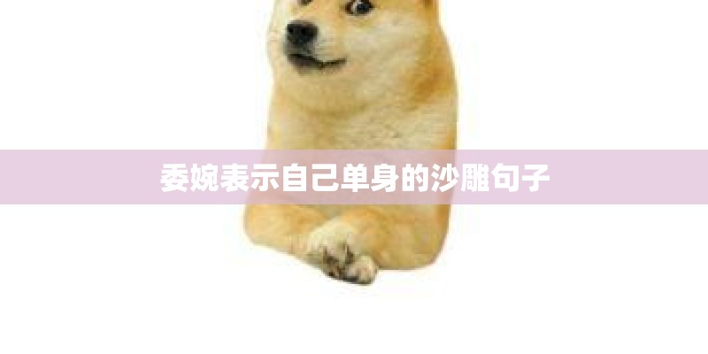 委婉表示自己单身的沙雕句子