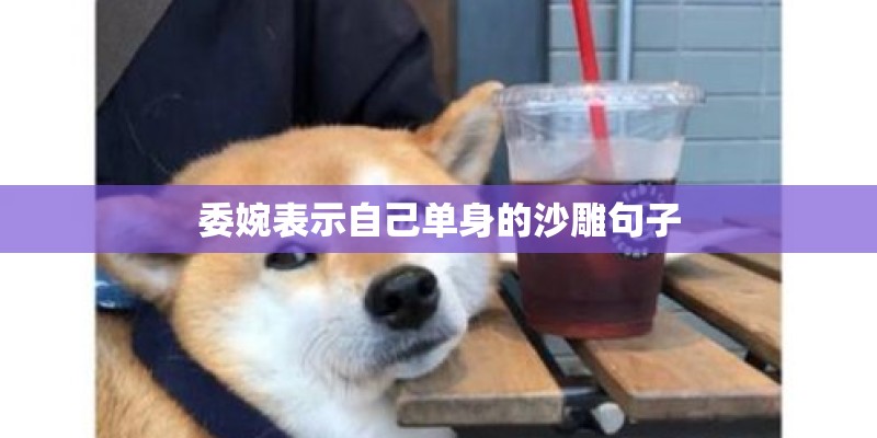 委婉表示自己单身的沙雕句子 委婉表示自己单身的沙雕句子